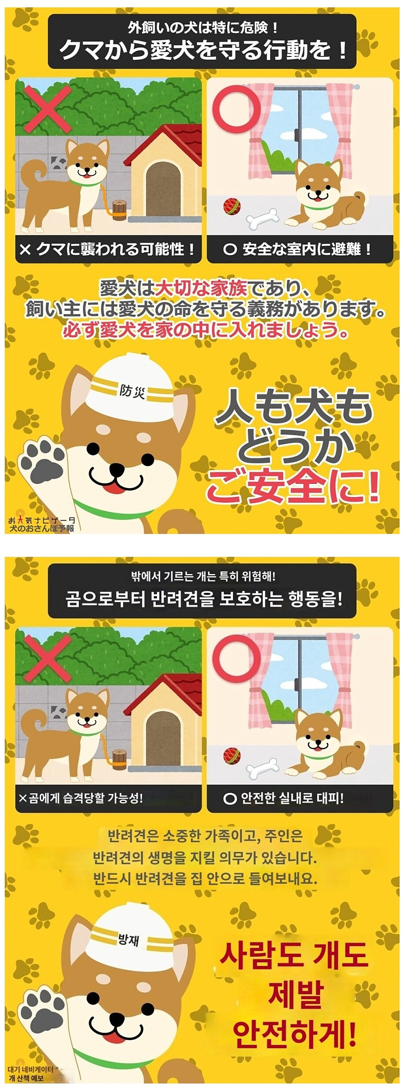 개는 제발 집안에서 키우세요!!